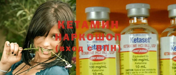 стаф Покачи