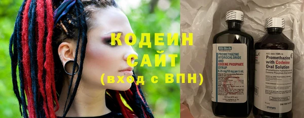 экстази Галич
