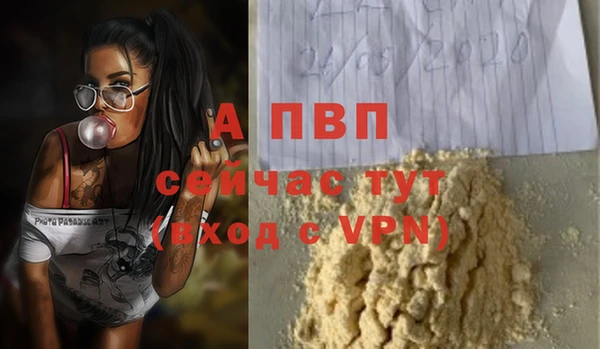 альфа пвп Гатчина
