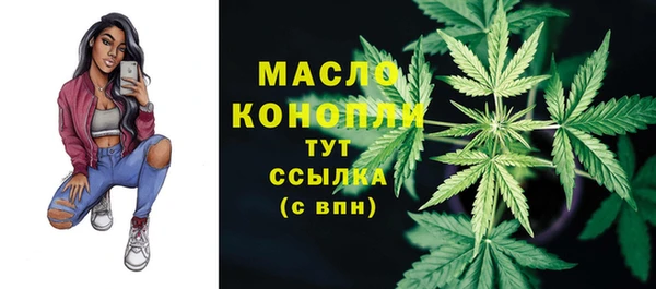 экстази Галич