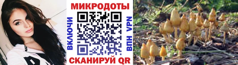 Псилоцибиновые грибы прущие грибы  Великий Новгород 