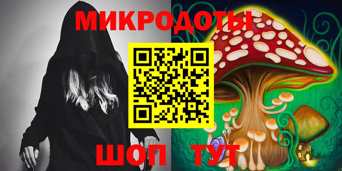 Великий Новгород  Галлюциногенные грибы Psilocybine cubensis  Вход с VPN 
