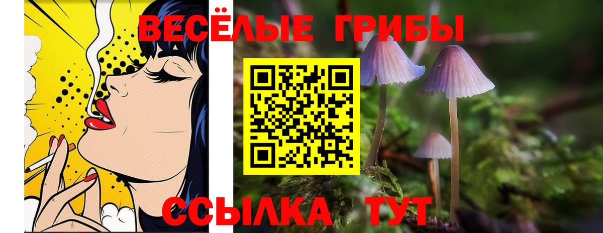 Галлюциногенные грибы прущие грибы Великий Новгород